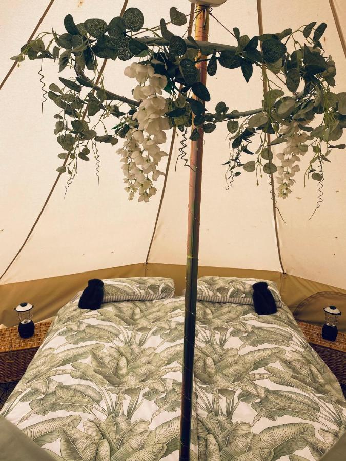 Duneden Belle Glamping * Randalstown